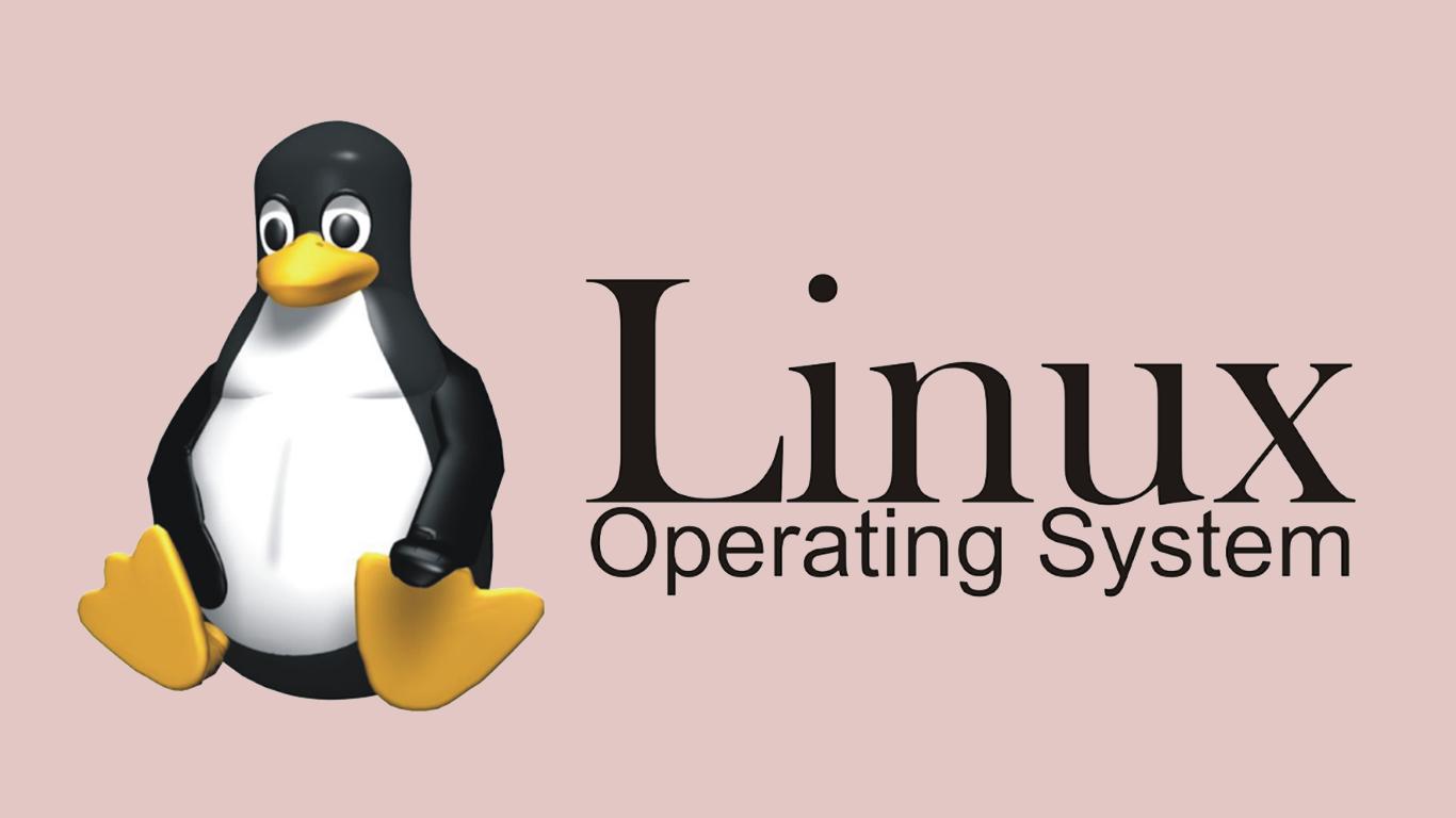 Apa Saja Tipe-tipe Dari Sistem Operasi Linux?